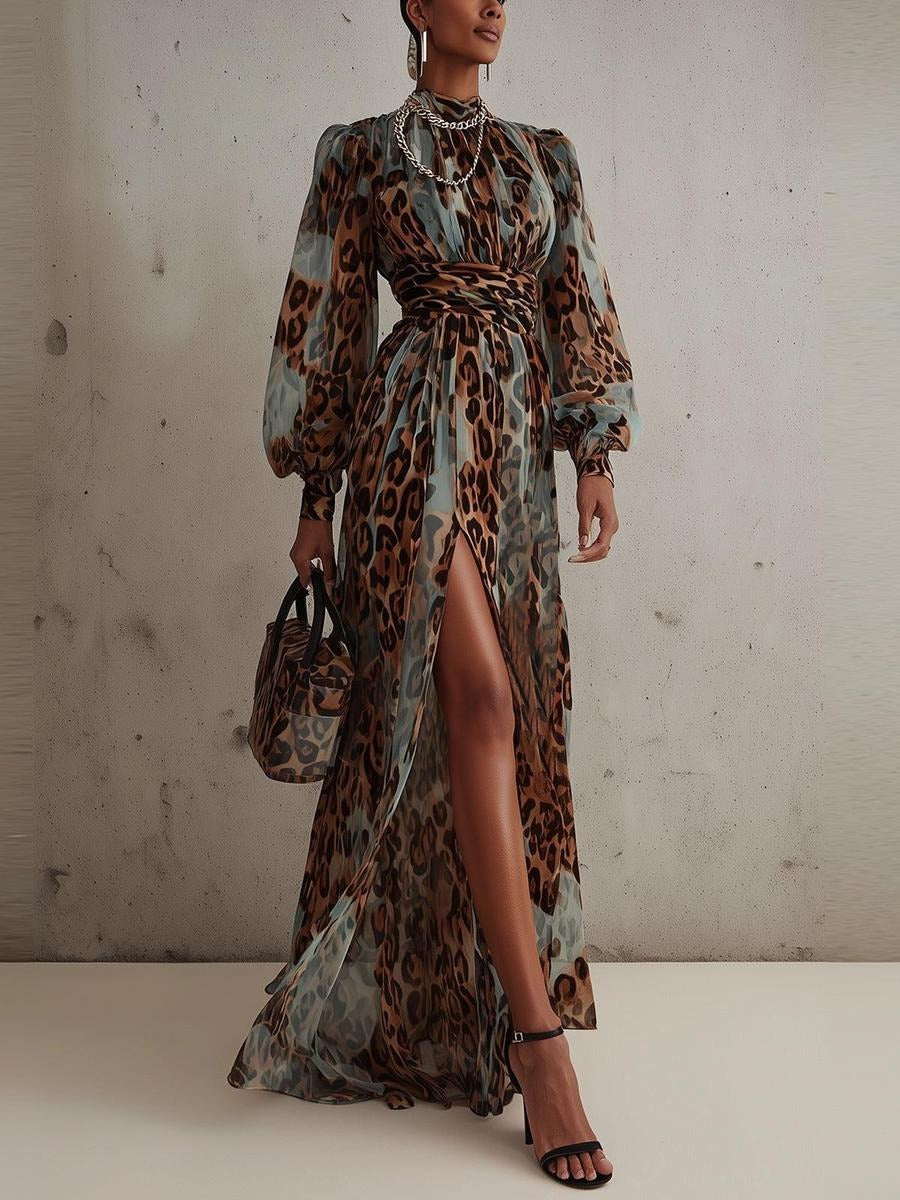 Special Long Sleeve Leopard Maxi Dress