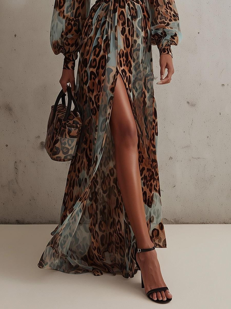 Special Long Sleeve Leopard Maxi Dress
