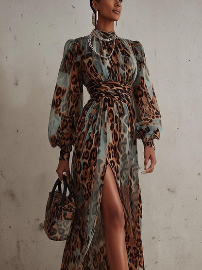 Special Long Sleeve Leopard Maxi Dress