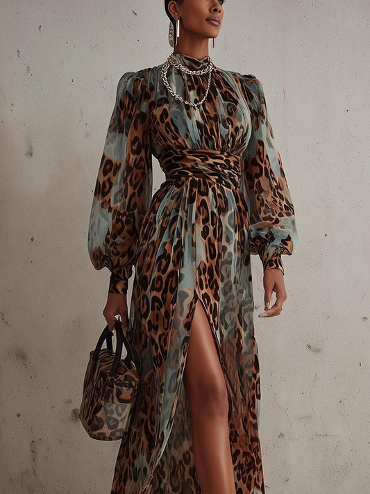 Special Long Sleeve Leopard Maxi Dress