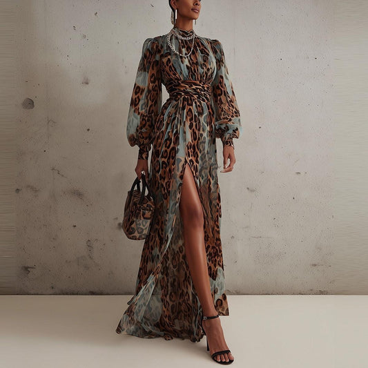 Special Long Sleeve Leopard Maxi Dress