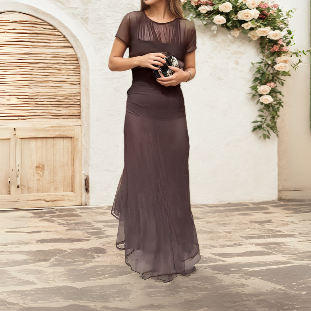 Brown Sheer Mesh Short - Sleeve Maxi Dress